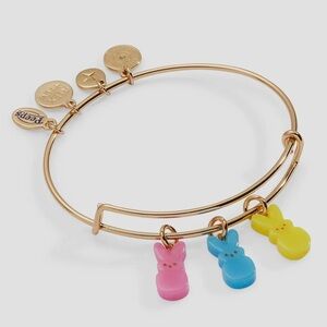 Alex + Ani Peeps bracelet